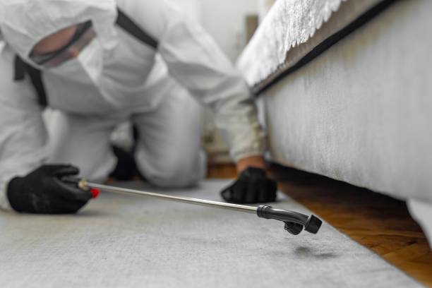 Professional Bed Bug Control technician working in Trempealeau County County, WI